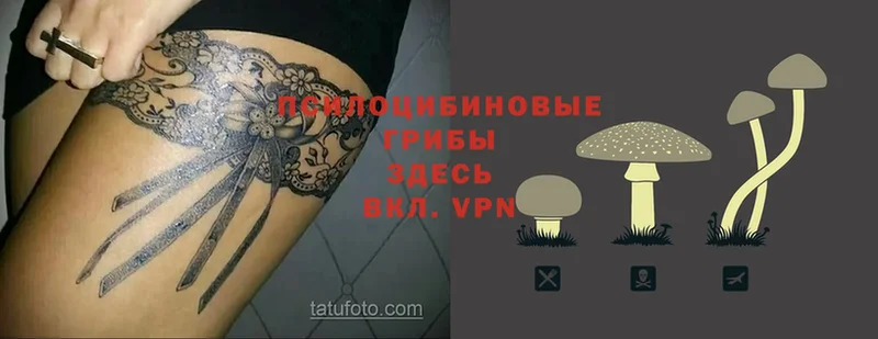 Галлюциногенные грибы Magic Shrooms  Велиж 